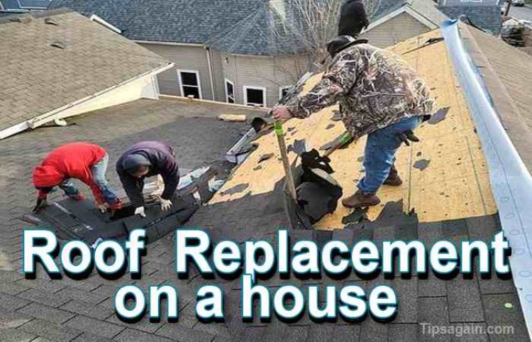 Roof Replacement