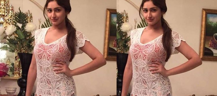 Bollywood's actress Sayyeshaa Saigal more